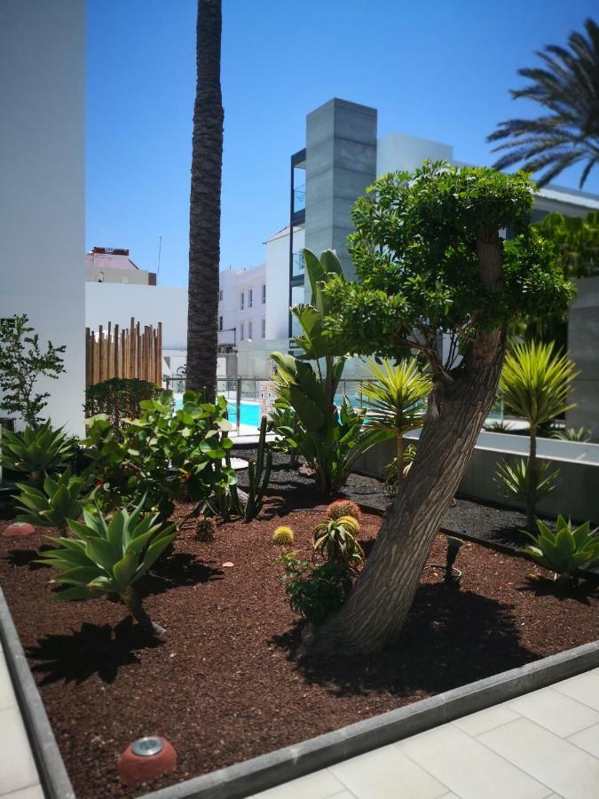 Appartement Vista Bristol 50B Corralejo Eksteriør bilde