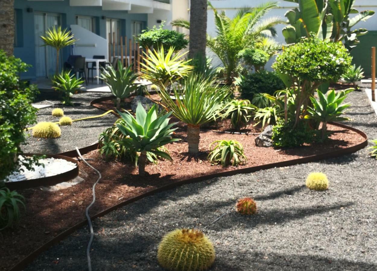 Appartement Vista Bristol 50B Corralejo Eksteriør bilde